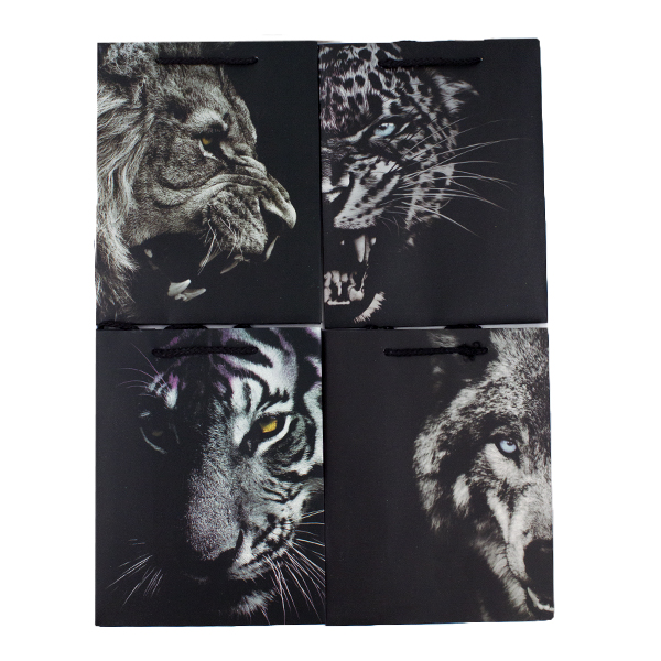 Пакет подарочный 23*18*10см Пакет подарочный 23*18*10см