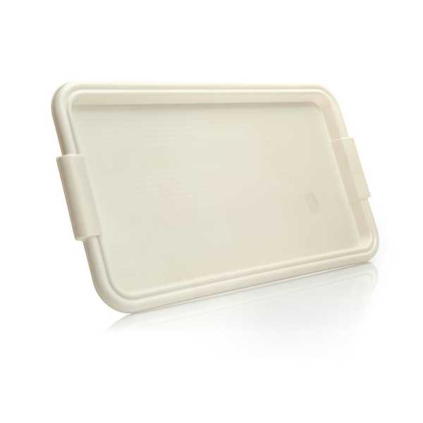 Поднос 10598 57х32см (то)