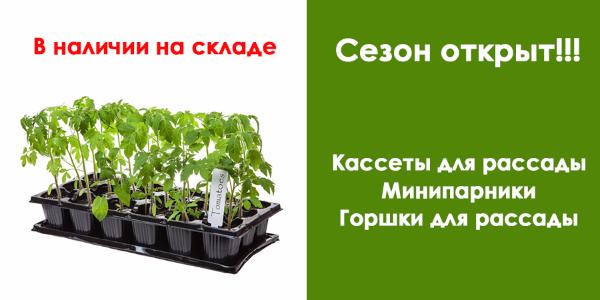 Объявление о продаже рассады образец