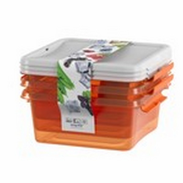 Набор контейнеров Monaco 0,85л (апельсин) (то)