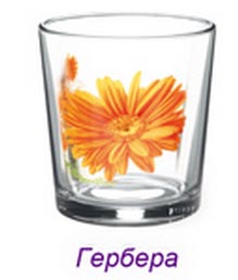Набор стаканов 6шт. 250 мл "Ода"  Гербера