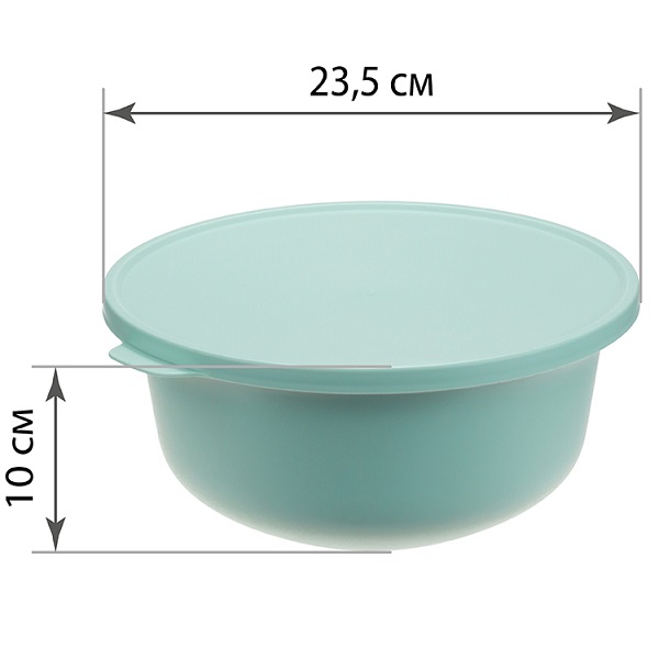 Миска ТЭСТИ 2,2л с крышкой (то)