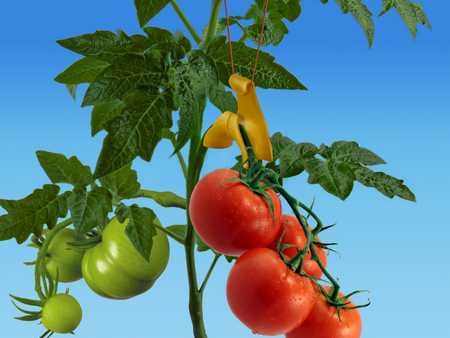 Подвес для растений