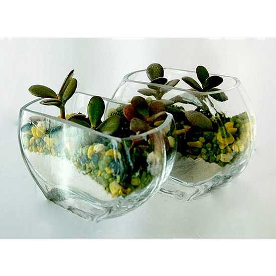 Вазочка большая Софья h8 d12.2см