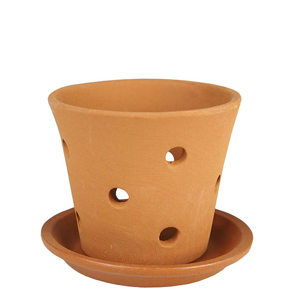 Орха ЭЛЕГАНТ с под  d10*h9см (для орхидей)