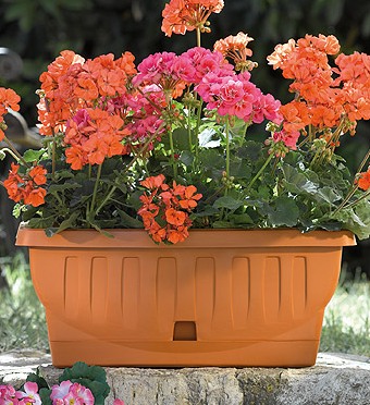 Балконный ящик NATURA 50см (терракот)