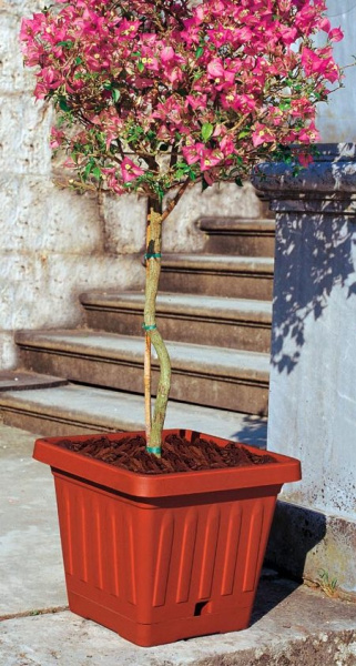 Кашпо ТЕРРА с поддоном квадрат. 30х30х22см (терракот) ~13 литров