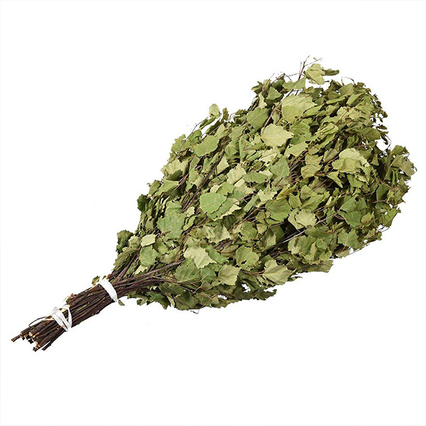 Веник (береза) SALE
