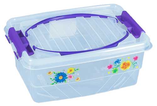 Мультибокс "Пикник"  5л (то)